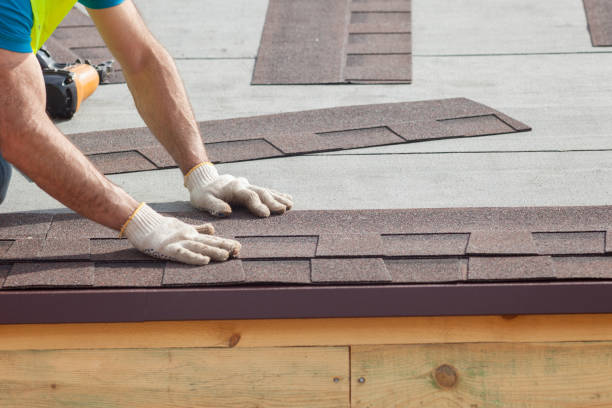 Best Roof Moss and Algae Removal  in Montezuma, IA