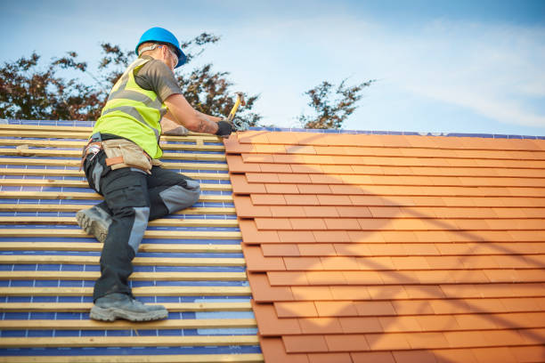 Best Metal Roofing Installation  in Montezuma, IA